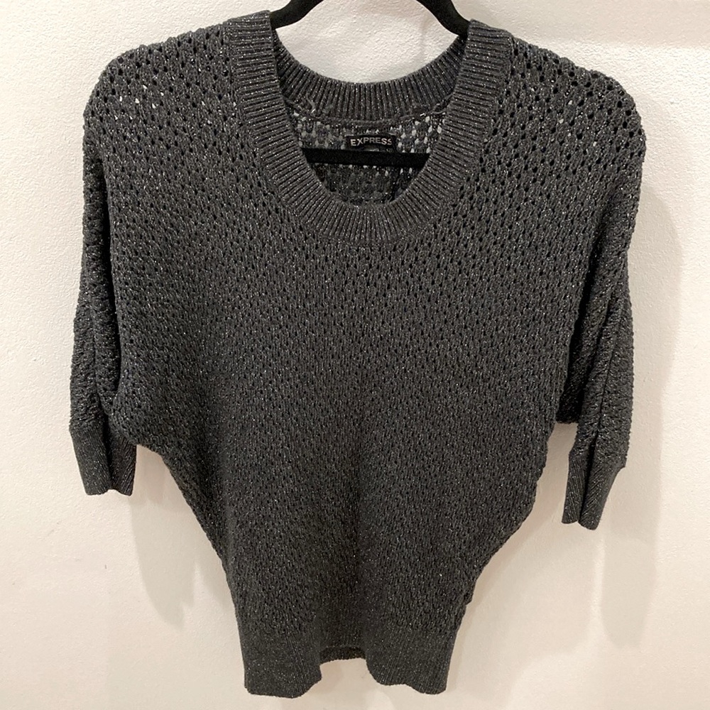 Express Metalic Mesh Top